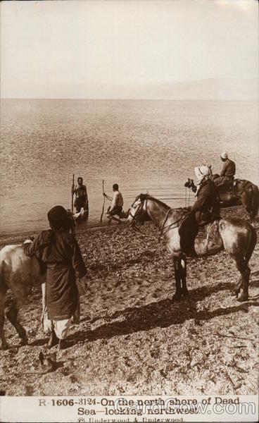 On the North Shore of Dead Sea Looking Northwest Jordan