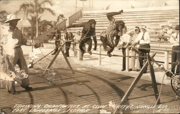 Clyde Beatty's Jungle Zoo - Training Chimpanzees Fort Lauderdale Florida