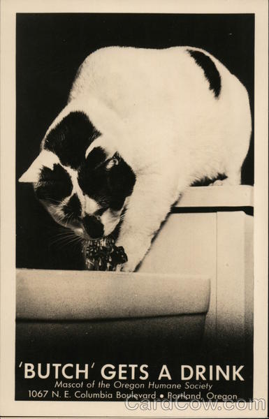 Buthc Gets a Drink Portland Oregon