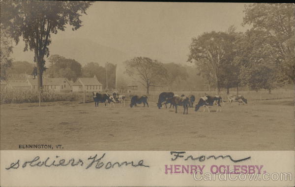 Dairy Cows Grazing - Soldier's Home Bennington Vermont