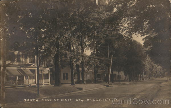 South Side of Main Street Otego New York
