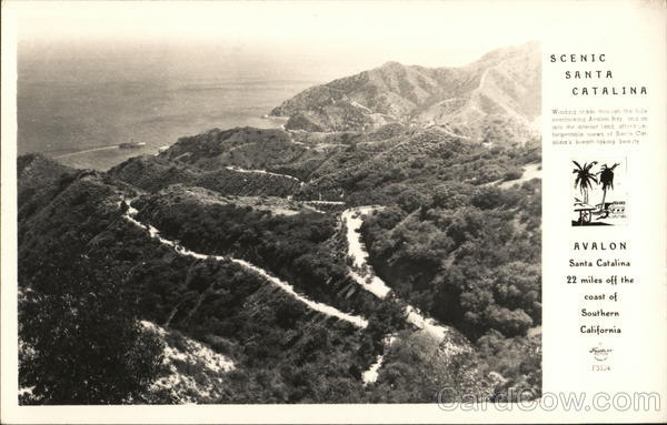 Scenic Santa Catalina Avalon California