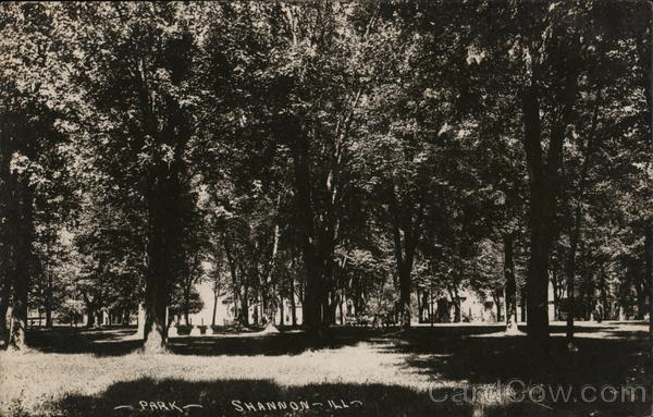 Shady Park Shannon Illinois