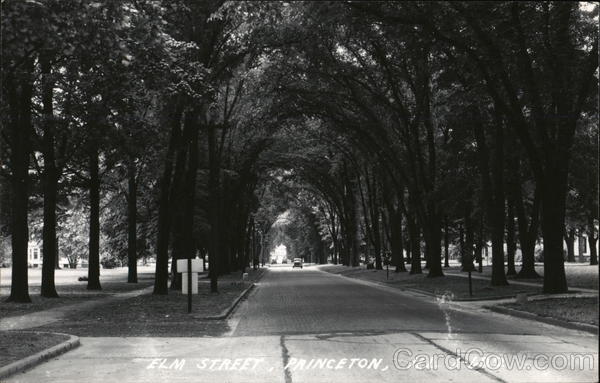 Elm Street Princeton Illinois