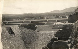 View of Farms From Top of Structure Postcard