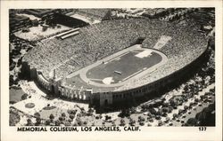 Memorial Coliseum Postcard