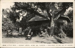 Little Wood Coconut Grove Postcard