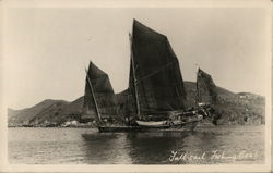 Full Sail Fishing Boats, Hong Kong Postcard