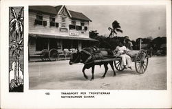 Transport Per Trekstierkar Postcard