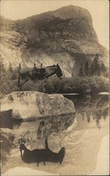 Donkey on Rock With Reflection In Water Postcard