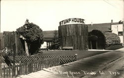 The Stump House The Stump House