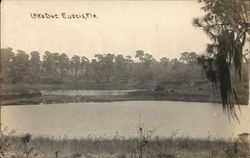 Lake Dot Eustis, FL Postcard Postcard Postcard