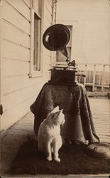 Teddy the Cat with Gramophone & Records Postcard