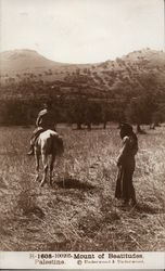 Mount of Beatitudes Postcard