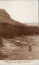 The High Shores of theSea of Galilee Postcard