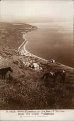 Tiberias on the Sea of Galilee, from the south--Palestine Israel Middle East Postcard Postcard Postcard