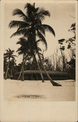 Tahiti Beach Postcard