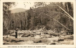 Fishing on the West Branch of Peabody River White Mountains, NH Postcard Postcard Postcard