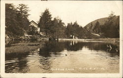 Mirror Lake Millrift, PA Postcard Postcard Postcard