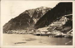 View from the Shore Postcard