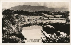 Little Pigeon River Postcard