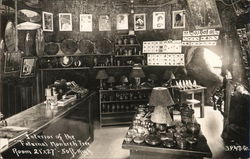 Interior of Fraternal Monarch Tree, Lilley Redwood Park Postcard