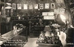 Interior of Fraternal Monarch Tree, Lilley Redwood Park Redwoods, CA Postcard Postcard Postcard