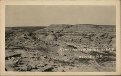 A Small Portion of the Petrified Forest Postcard