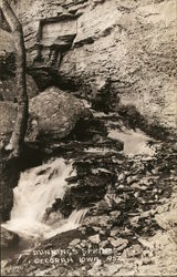 Dunnings Springs Postcard