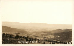 Skyline Drive Postcard