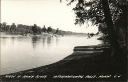 View of Rainy River International Falls, MN Postcard Postcard Postcard