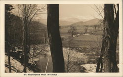 Mt. Washington from Intervale Postcard