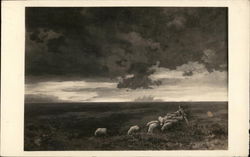 Man Herding Sheep Postcard Postcard Postcard