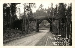 Pigtail Bridge Postcard