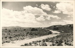 Nevada Desert Road Postcard