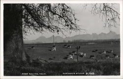 Eastman's Studio Colusa, CA Postcard Postcard Postcard