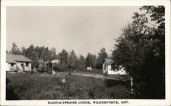 Stock #527927 Thumbnail