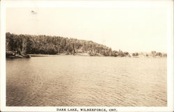 Dark Lake Wilbeforce, ON Canada Ontario Postcard Postcard Postcard