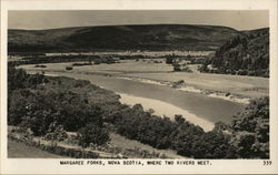 Margaree Forks Where Two Rivers Meet Postcard