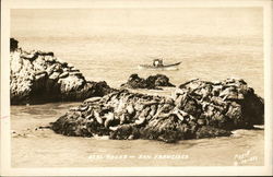 Seal Rocks San Francisco, CA Postcard Postcard Postcard