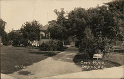 City Park Postcard