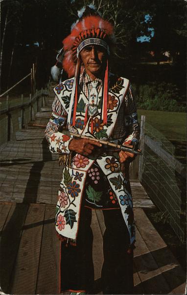 Chippewa Chief Gah Gee Gay Aush Native Americana