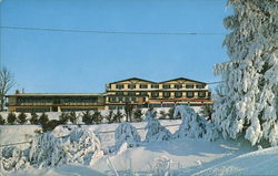 Chestnut Mountain Lodge Postcard