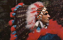 Henry Ray Lambert - Cherokee Indian Postcard