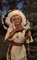 Chief Evergreen Tree Native Americana Postcard Postcard Postcard