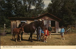 Six Gun City Jefferson, NH Postcard Postcard Postcard