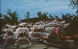 Baton Twirlers and Instructors From the International Music Camp Postcard