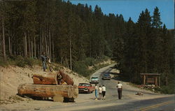 Highway Exhibit Streetside, MacDonald Pass Helena, MT Postcard Postcard Postcard