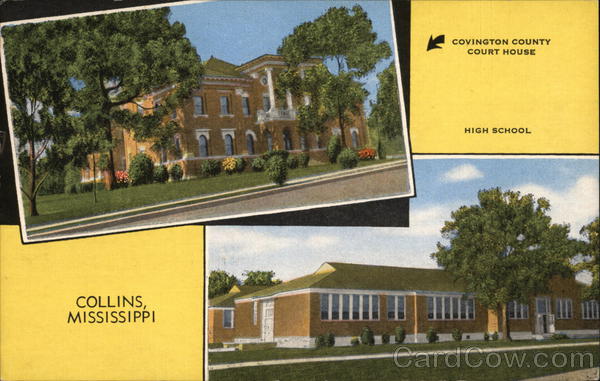 Covington County Court House and High School Collins Mississippi