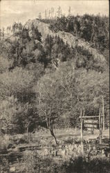 Deer Leap From Long Trail Lodge Postcard